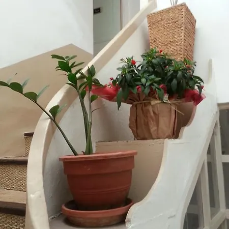 Bed & Breakfast Le Patio Des Cigales